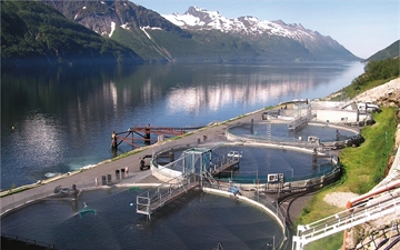 Aquaculture basin for industrial fishfarming.